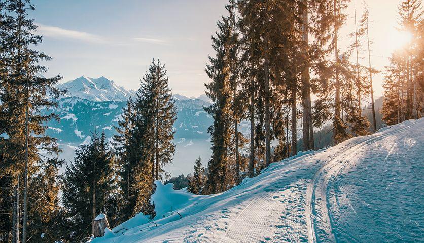 Hit the Slopes! 7 Ski resorts around Monaco