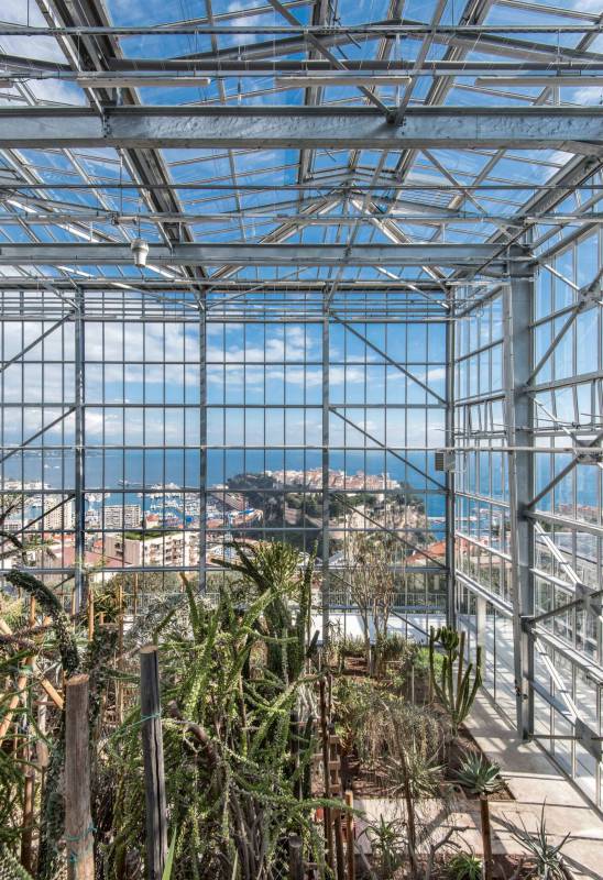 “glass palaces” on Boulevard du Jardín Exotique