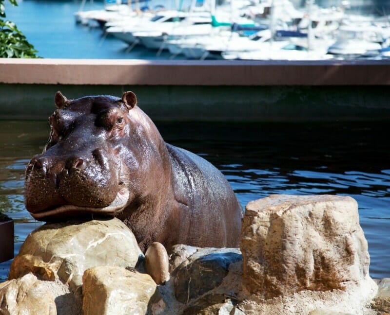 Monaco Zoological Gardens