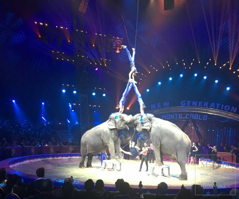 THE NEW GENERATION CIRCUS CONCLUDES TO WILD APPLAUSE