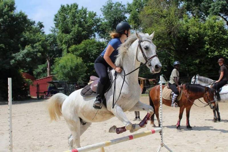 The Infinite Charm of Horse Riding on the Riviera