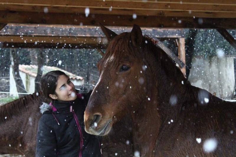 The Infinite Charm of Horse Riding on the Riviera