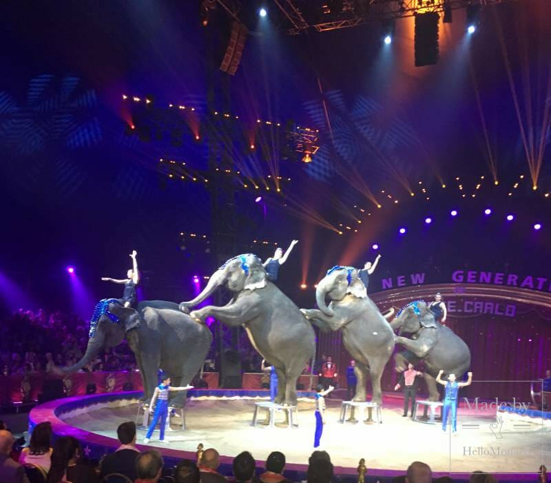 THE NEW GENERATION CIRCUS CONCLUDES TO WILD APPLAUSE