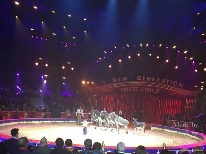 THE NEW GENERATION CIRCUS CONCLUDES TO WILD APPLAUSE