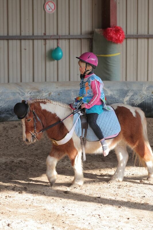 The Infinite Charm of Horse Riding on the Riviera