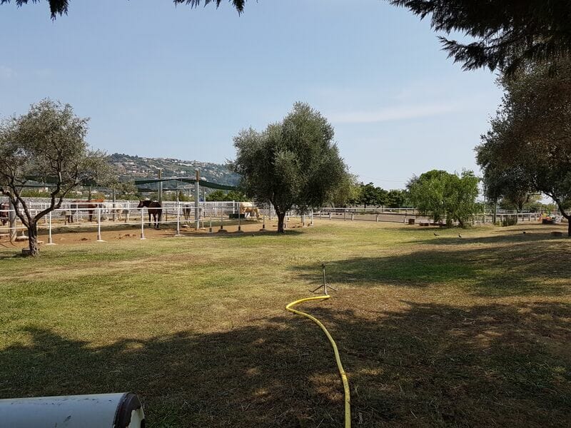 The Infinite Charm of Horse Riding on the Riviera