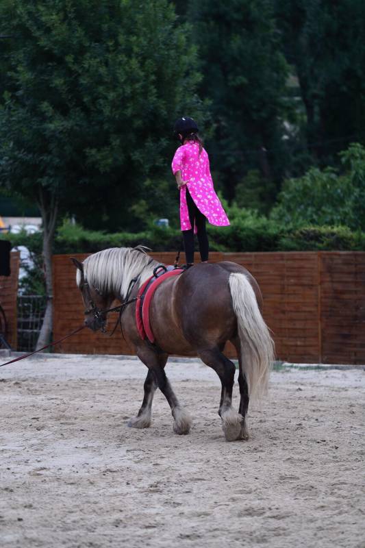 The Infinite Charm of Horse Riding on the Riviera