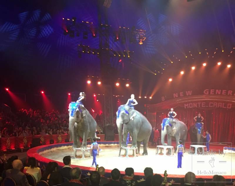 THE NEW GENERATION CIRCUS CONCLUDES TO WILD APPLAUSE