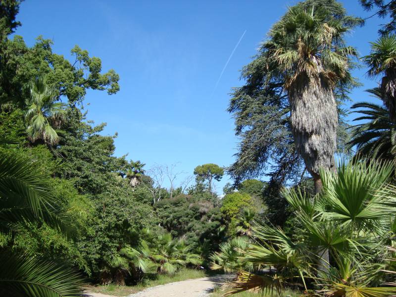 Jardin Thuret