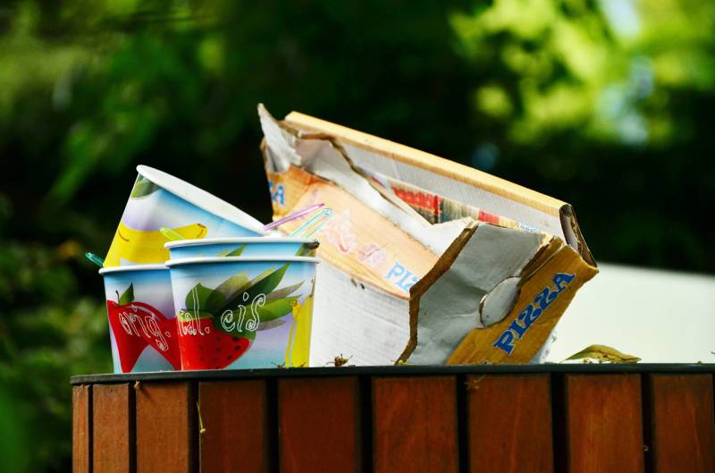 Recycling and Life Just Got Simpler in Monaco: Yellow and Green Only