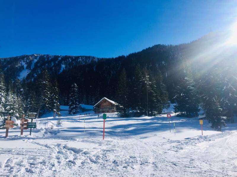 Alpha Wolf Park at Saint-Martin Vésubie: a bridge between man, ecology and wolves