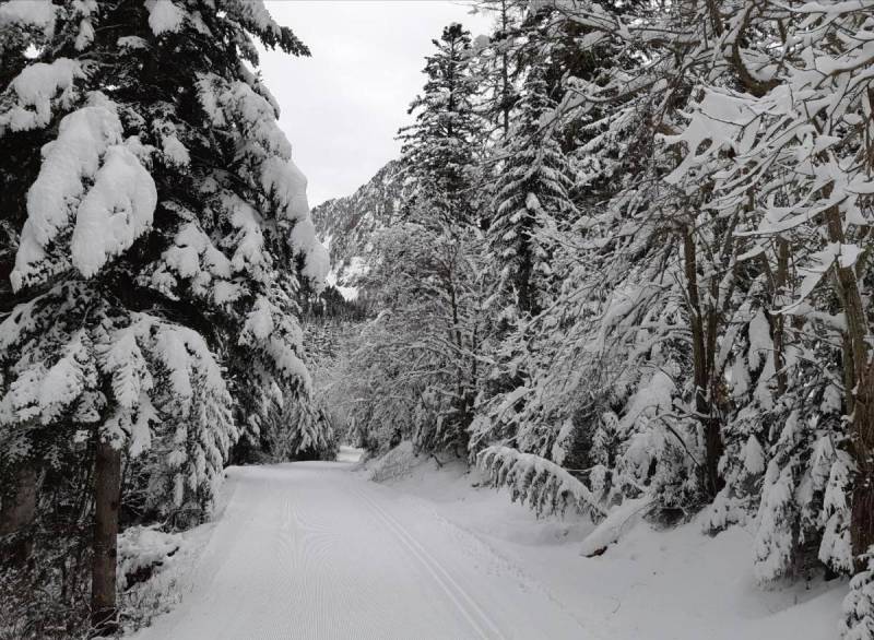 Alpha Wolf Park at Saint-Martin Vésubie: a bridge between man, ecology and wolves