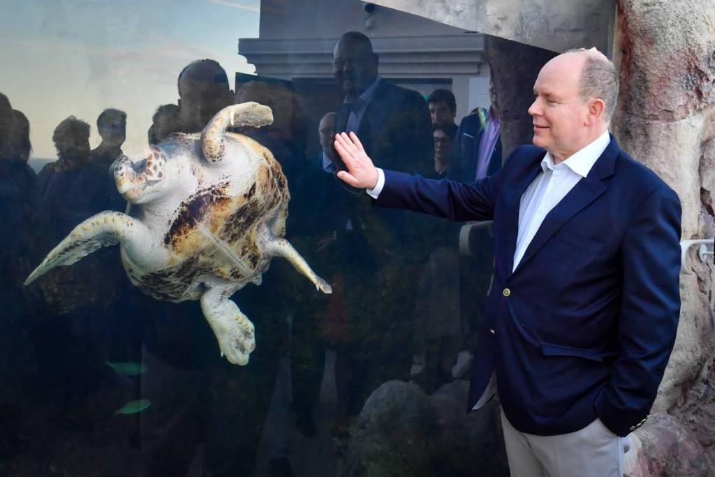 Prince Albert inaugurates New Home for Sea Turtles