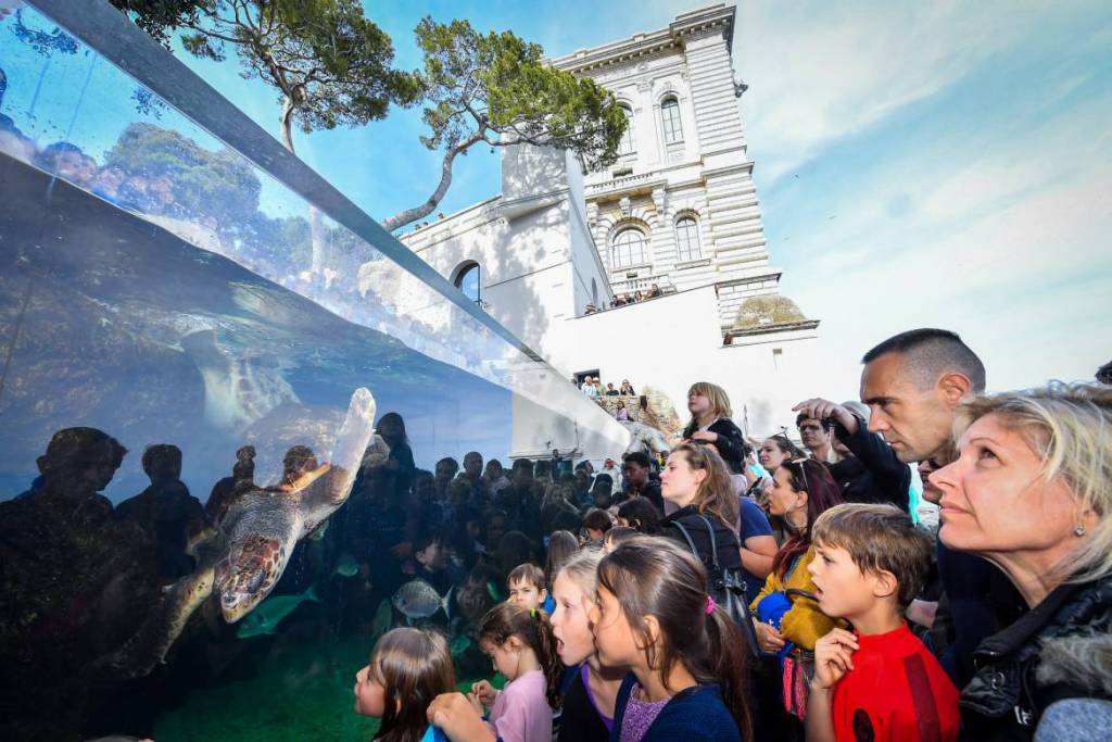 Prince Albert inaugurates New Home for Sea Turtles