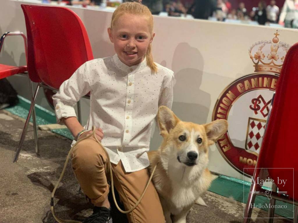 International Dog Show 2019: a «hairy» Boom in Monaco