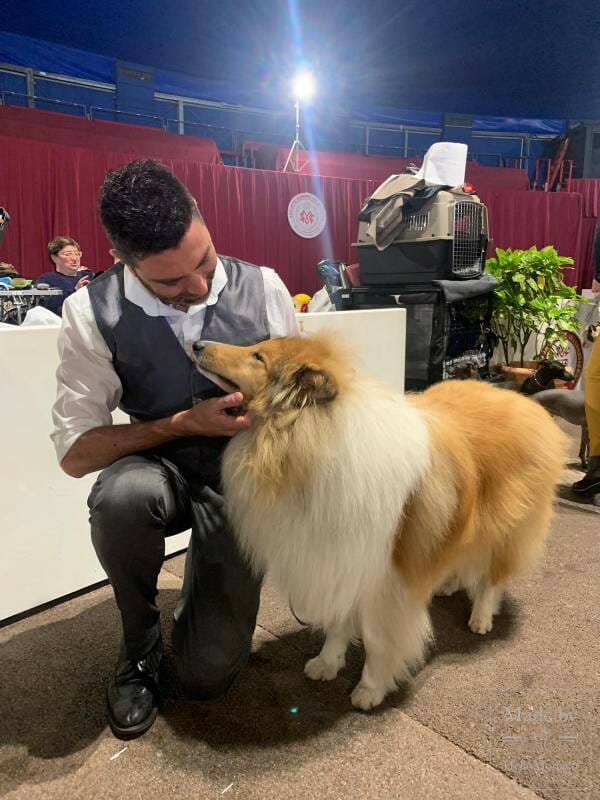 International Dog Show 2019: a «hairy» Boom in Monaco