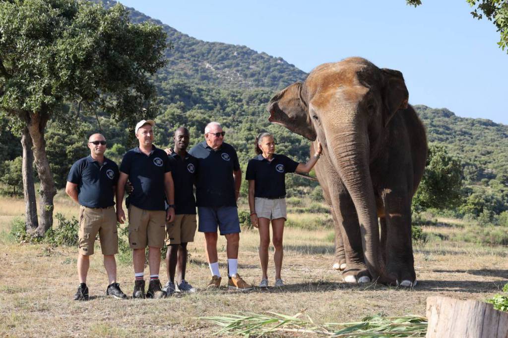 Princess Stephanie Celebrates the Sixth Anniversary of the “Baby and Nepal association” to Protect Threatened Elephants