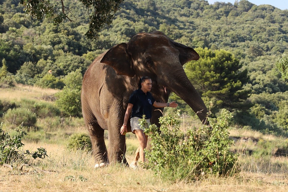 Princess Stephanie Celebrates the Sixth Anniversary of the “Baby and Nepal association” to Protect Threatened Elephants