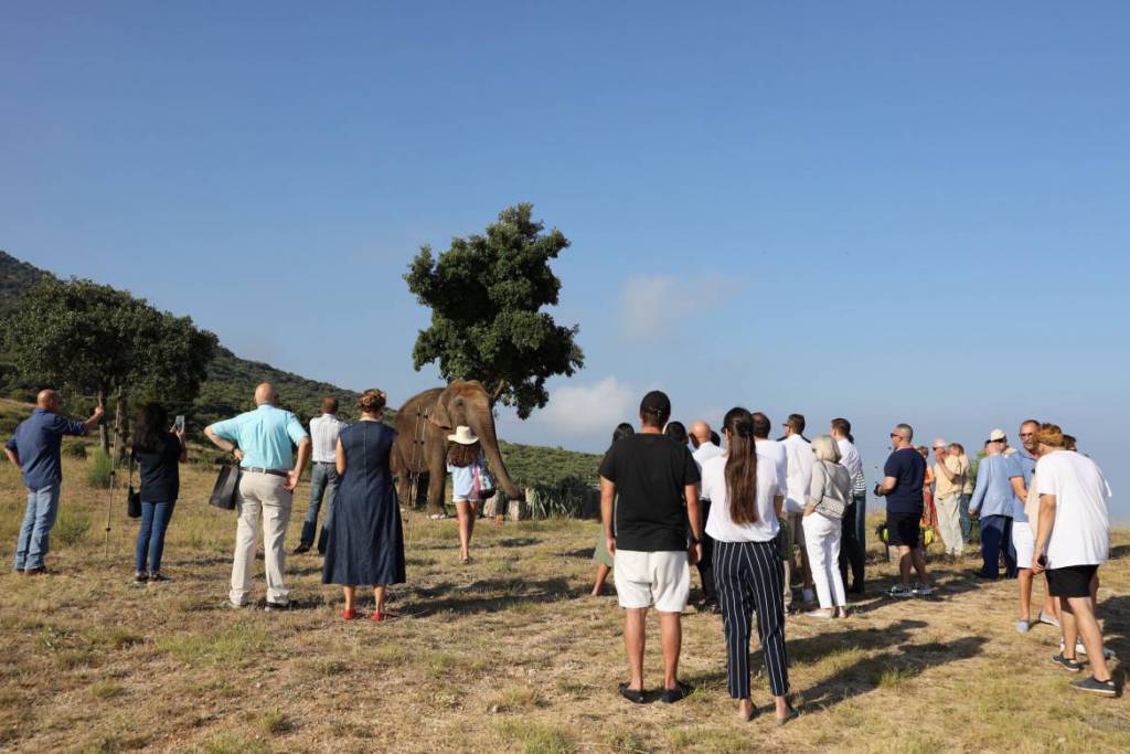 Princess Stephanie Celebrates the Sixth Anniversary of the “Baby and Nepal association” to Protect Threatened Elephants