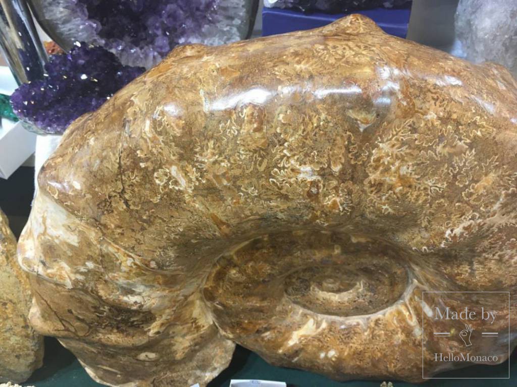 Mineral Expo Monaco: Gems, Meteorites and Fossils From Our Planet and Outer Space