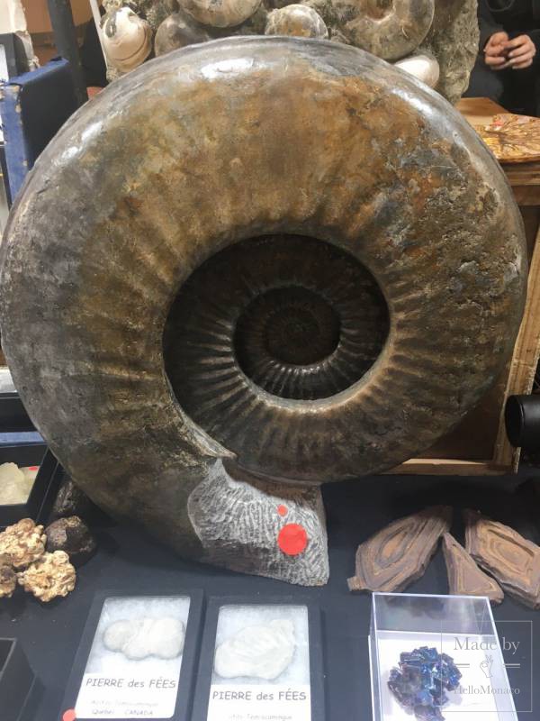Mineral Expo Monaco: Gems, Meteorites and Fossils From Our Planet and Outer Space