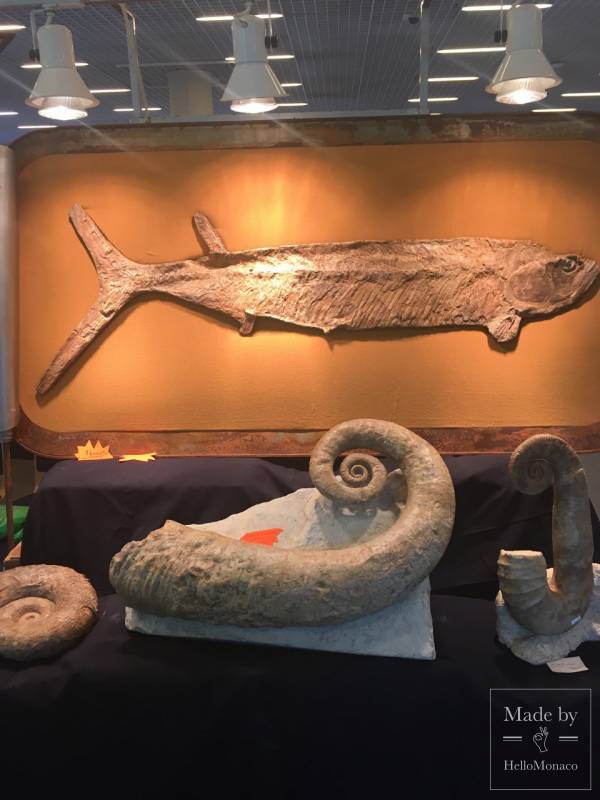 Mineral Expo Monaco: Gems, Meteorites and Fossils From Our Planet and Outer Space