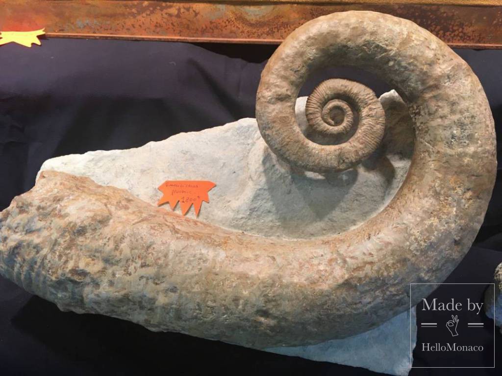 Mineral Expo Monaco: Gems, Meteorites and Fossils From Our Planet and Outer Space