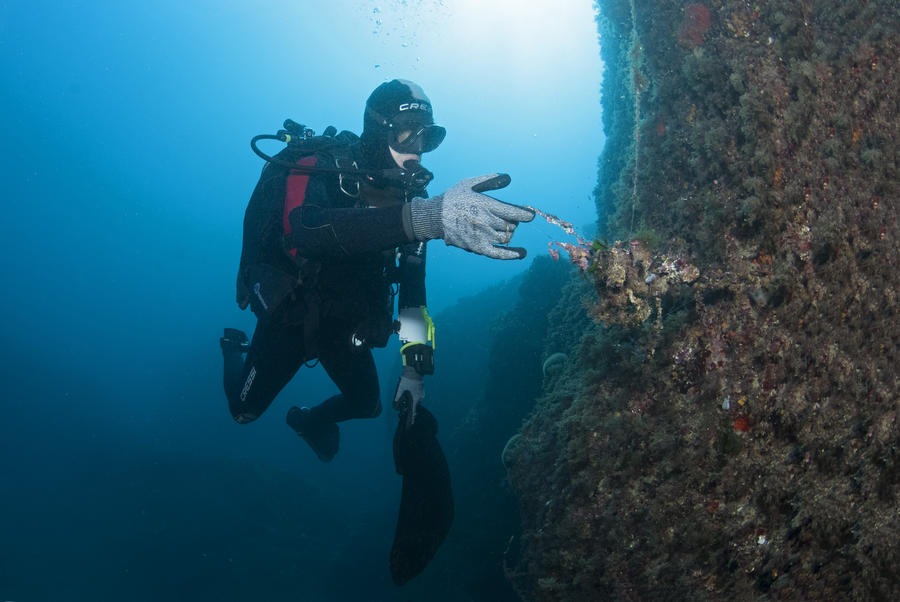 Cleaning Port