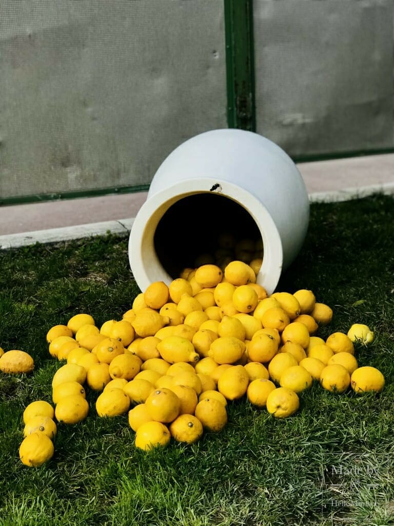 Lemon Festival in Menton (Fête du citron)