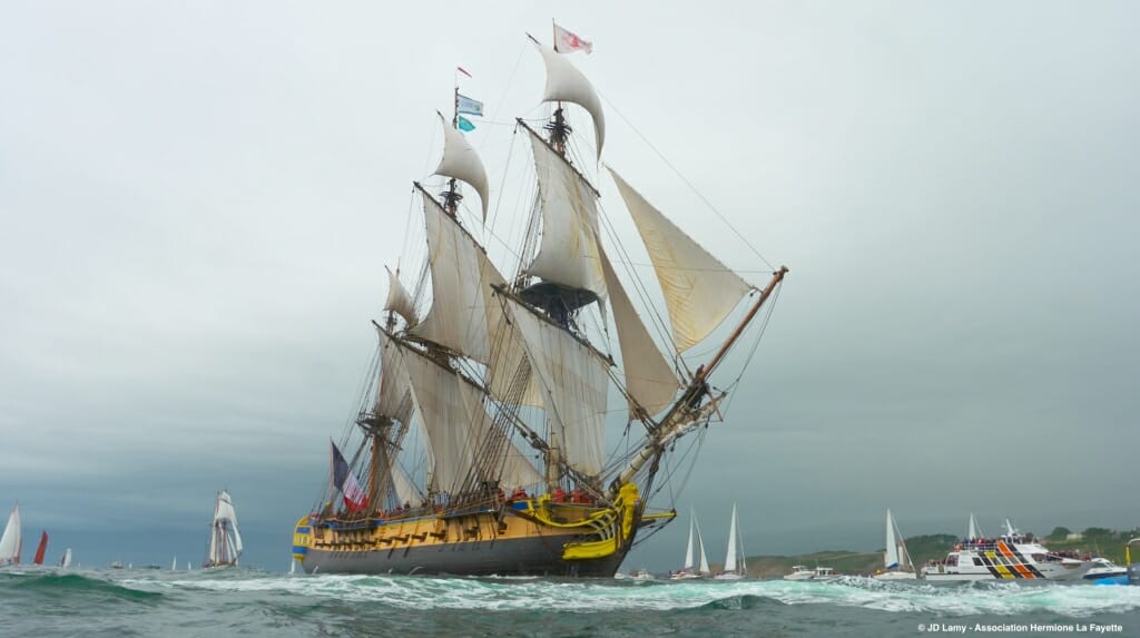 The Hermione