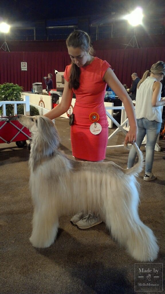 2018 Monaco International Dog Show