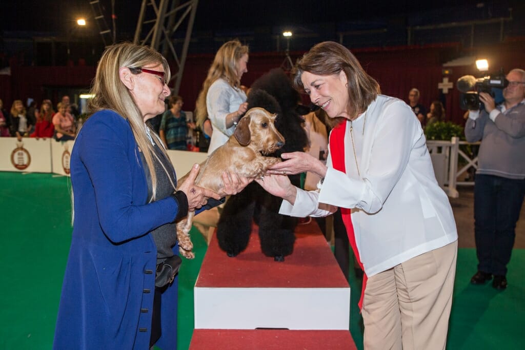 2018 Monaco International Dog Show