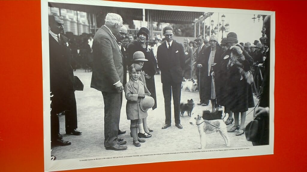 Monaco International Dog Show