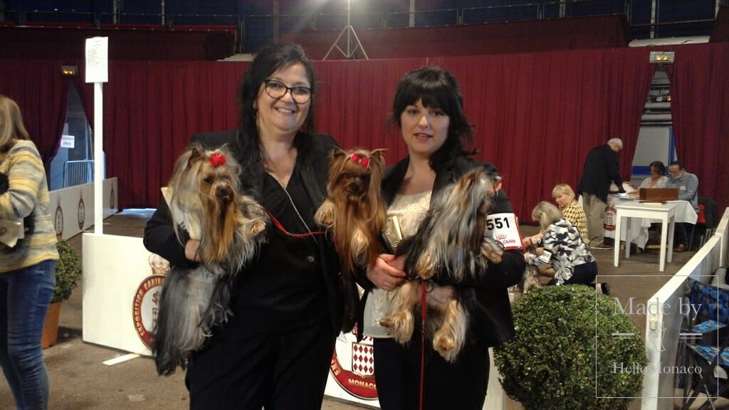 2018 Monaco International Dog Show