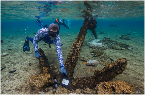 Silentworld discovered 19th century's ship wrecks