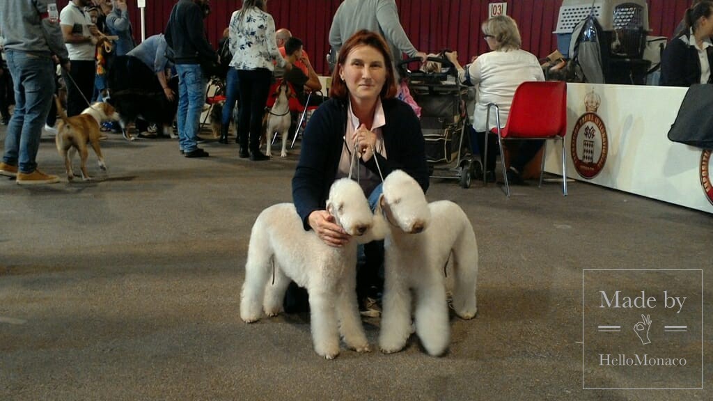 2018 Monaco International Dog Show