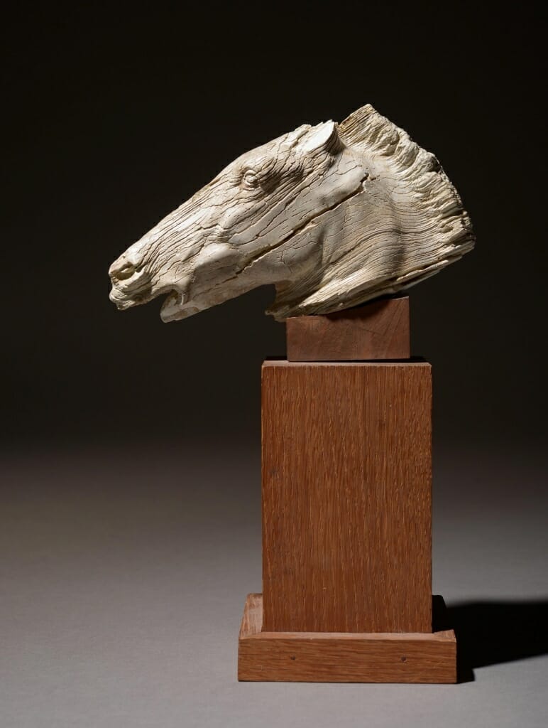 HVMC Horse Head