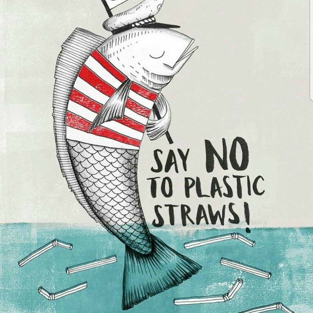 War on Plastic