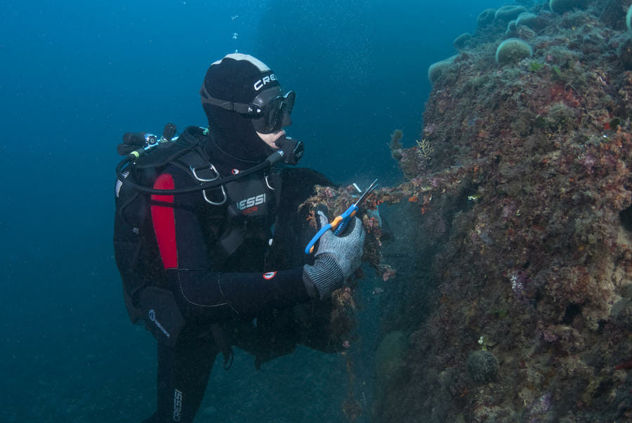 Cleaning the Saint-Nicolas Rocks