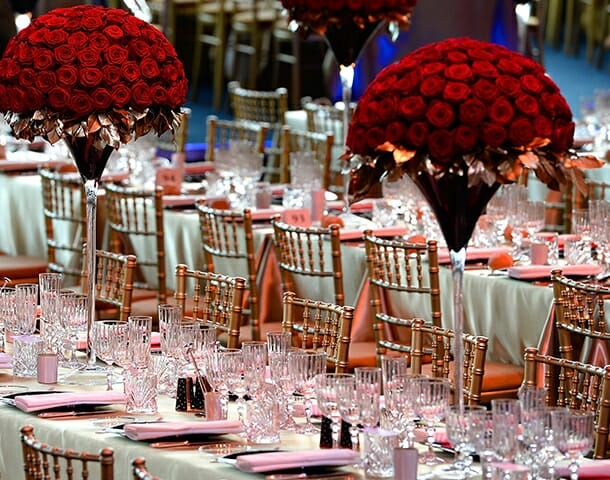 The Red Cross Ball