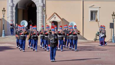 Palace guards