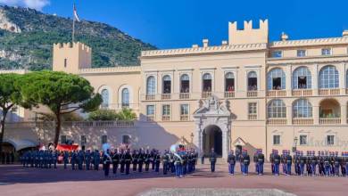 Palace guards