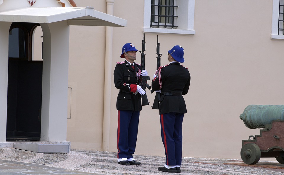 Palace guards