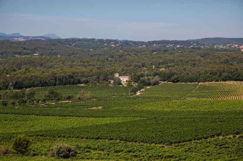 Château Roubine