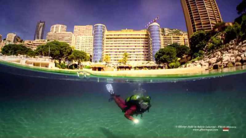 Exhibition: underwater photographs at the Méridien Hotel