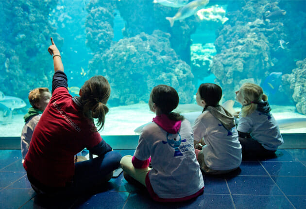 Oceanographic Museum