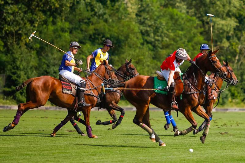 Monte -Carlo Polo Trophy