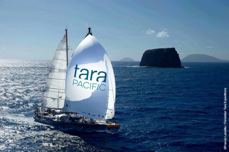 Tara Pacific