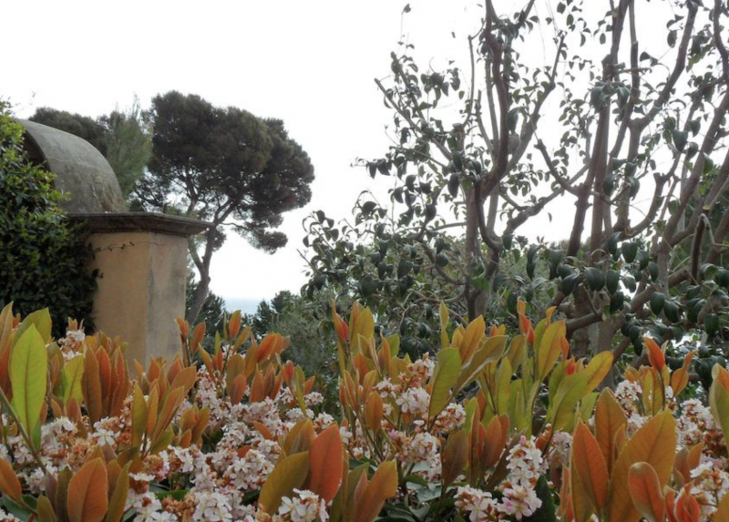 Saint Martin and Saint Barbara Gardens