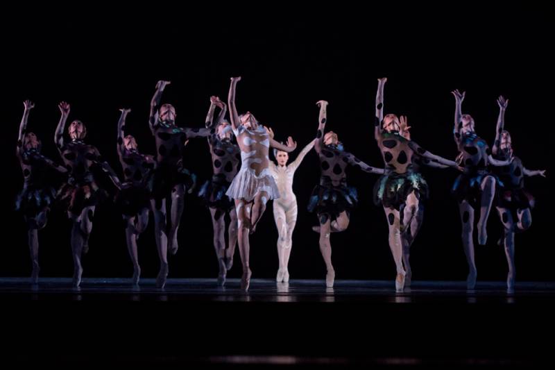 Ballets of Monte-Carlo Wow Thousands in Venice and Athens